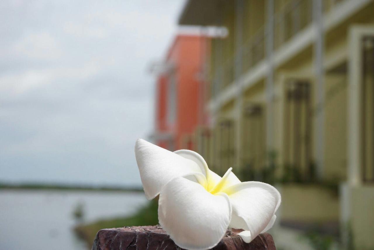 Baan Talay See Cream Resort Samut Songkhram Ngoại thất bức ảnh